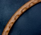 Healey banjo - shedua rim conversion