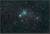 Christmas Tree Nebula