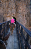 Into the Tunnel