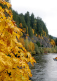 Cascade Mountains