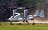 Osprey Landing at Kitty Hawk