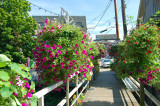 riverwalk - camden, maine