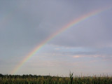 Rainbow when the rain started