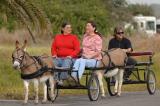 Nov 24....a cute ass in Rockport, Texas