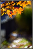web_066W6884.jpg