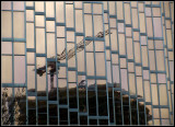 Reflection on the Royal Bank Tower