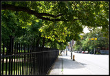 web_YLC03011.jpg