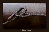 Rusty Fence
