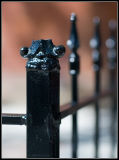 webFence02.jpg