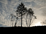 Sunrise over Tzouhalem