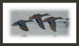 In Flight