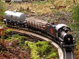 Logging Train in Miniature