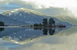 Late Afternoon Reflections