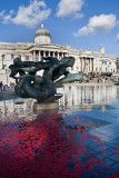 Poppies in the fountain 2