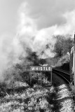 26 Dec... Whistle !