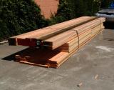 First Load of Wood.JPG