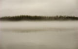 Fog on Burlington Island