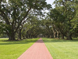 Oak Alley Plantation