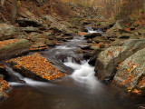 wHC1 11-7-08 PB076715.jpg