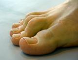 Sculptured Toes PICT1215.jpg