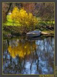 Spring Reflections 1099-2.jpg