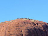 Outback88.jpg
