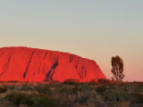 Outback139.jpg
