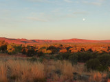 Outback308.jpg