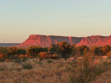 Outback309.jpg