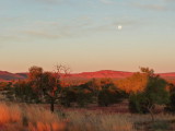 Outback317.jpg