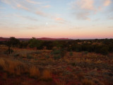 Outback329.jpg