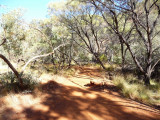 Outback343.jpg