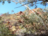Outback373.jpg