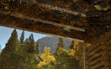 Flipped Image of the Swinging Bridge