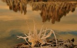 Mono Lake - AFternoon