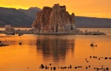 Late Afternoon Llight, Mono Lake