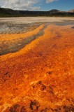 Grand Prismatic Pool with Algae