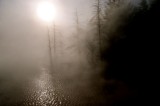 Cannary Spring Mist, Mammoth Hot Springs