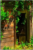 Abandoned Store, Pulg, California (off Highway 70)