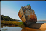 Beached, Inverness (Tomales Bay)