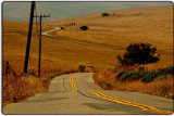 The Road between Petaluma and Pt. Reyes