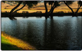 Pond at Marin Cheese Factory