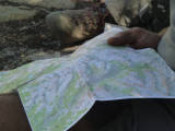 Checking the map at lunch.