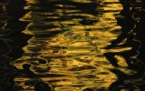 Golden Reflections
