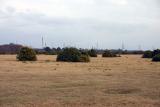 New Forest - pure countryside - no industry?