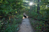 My Hiking Partner