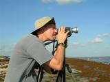 Filming Gulf Birds