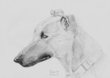 Tom - my first attempt at graphite - this is from a scan.