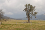 A cold bleak day, looking up the valley.