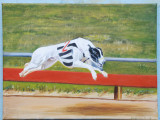 Premier Moment - aka as Prince - winning his race September 2008